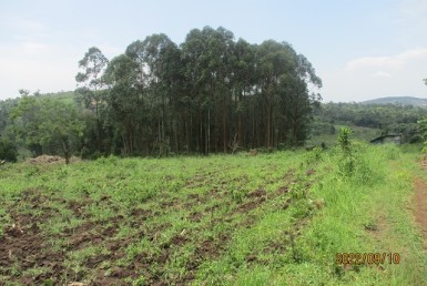 AVAILABLE LAND