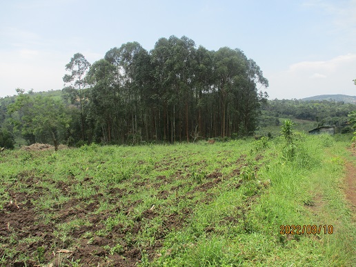 AVAILABLE LAND